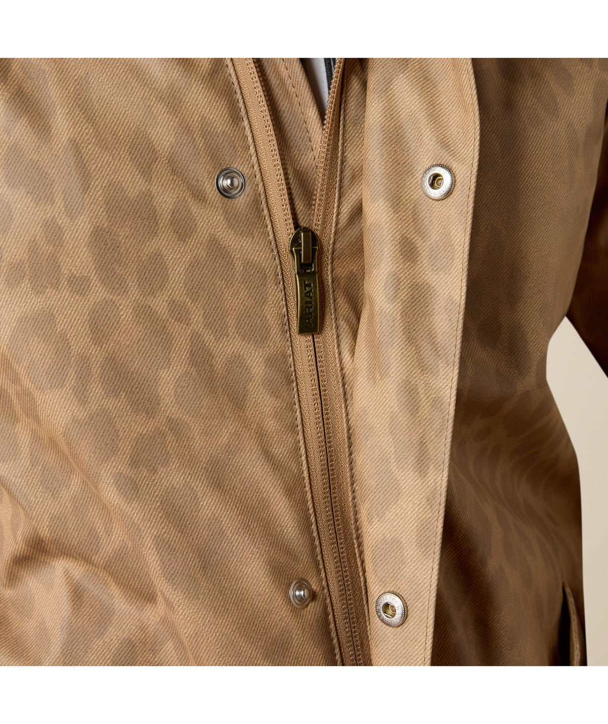 Leopardo desbotado - detalhe 2