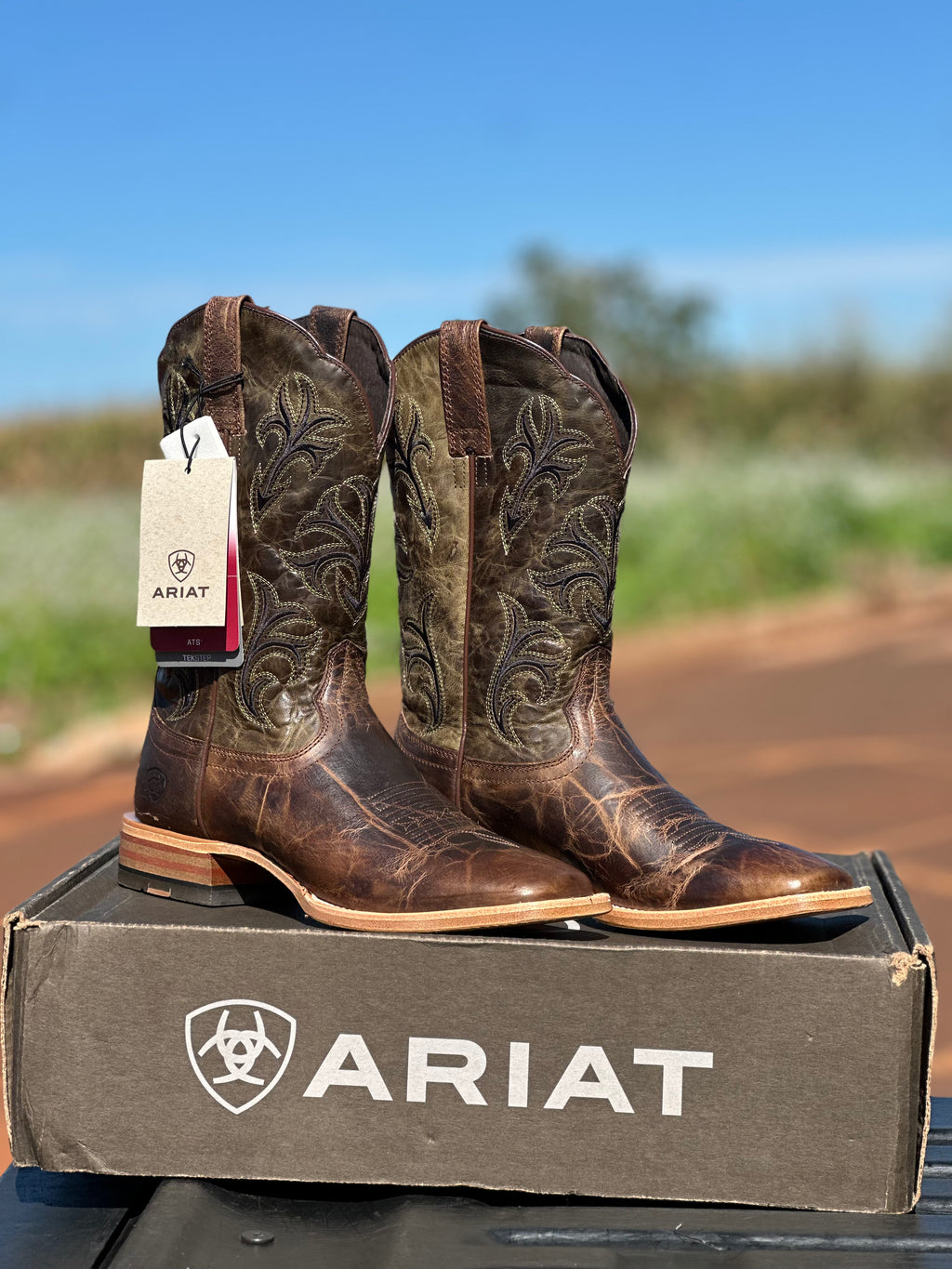 Bota Ariat Arena Verde Prado