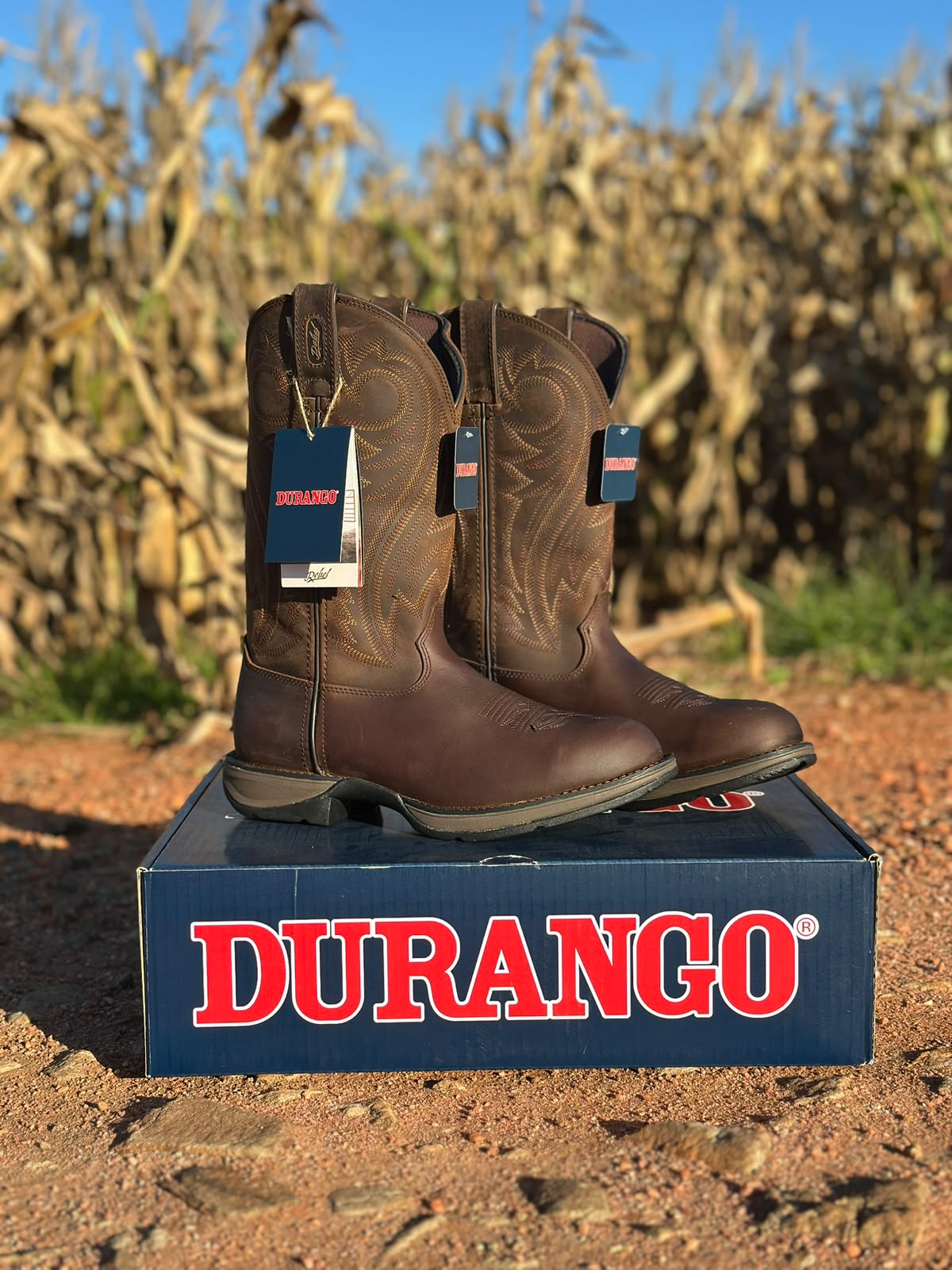 Bota Durango Rebel Chocolate (bico Redondo) — D5464