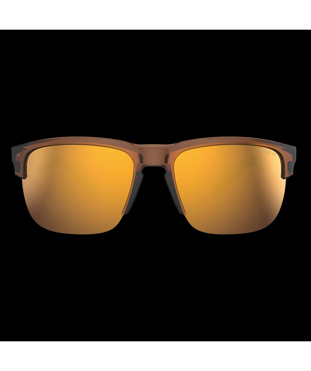 Clear Brown / Brown / Gold - foto 2